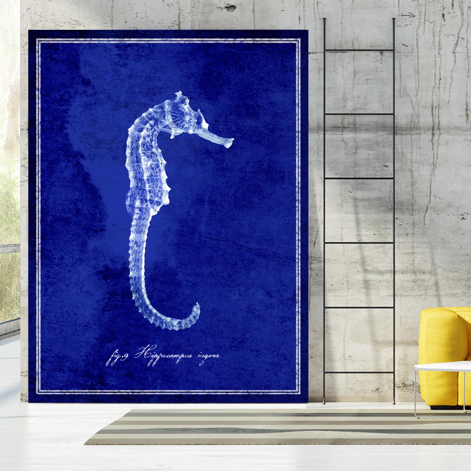 Seahorse by GI ArtLab on GIANT ART - blue nautical