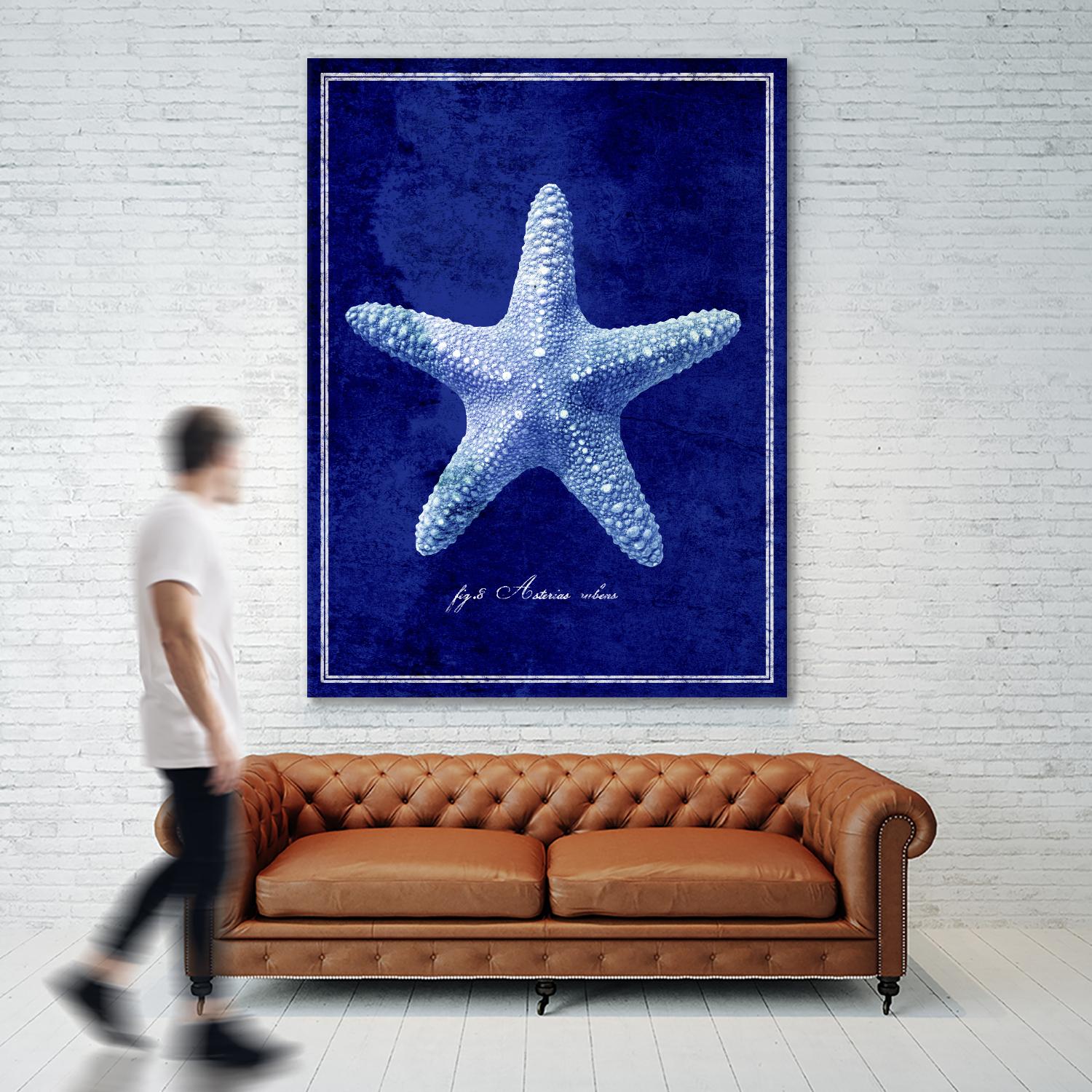 Starfish by GI ArtLab on GIANT ART - blue nautical