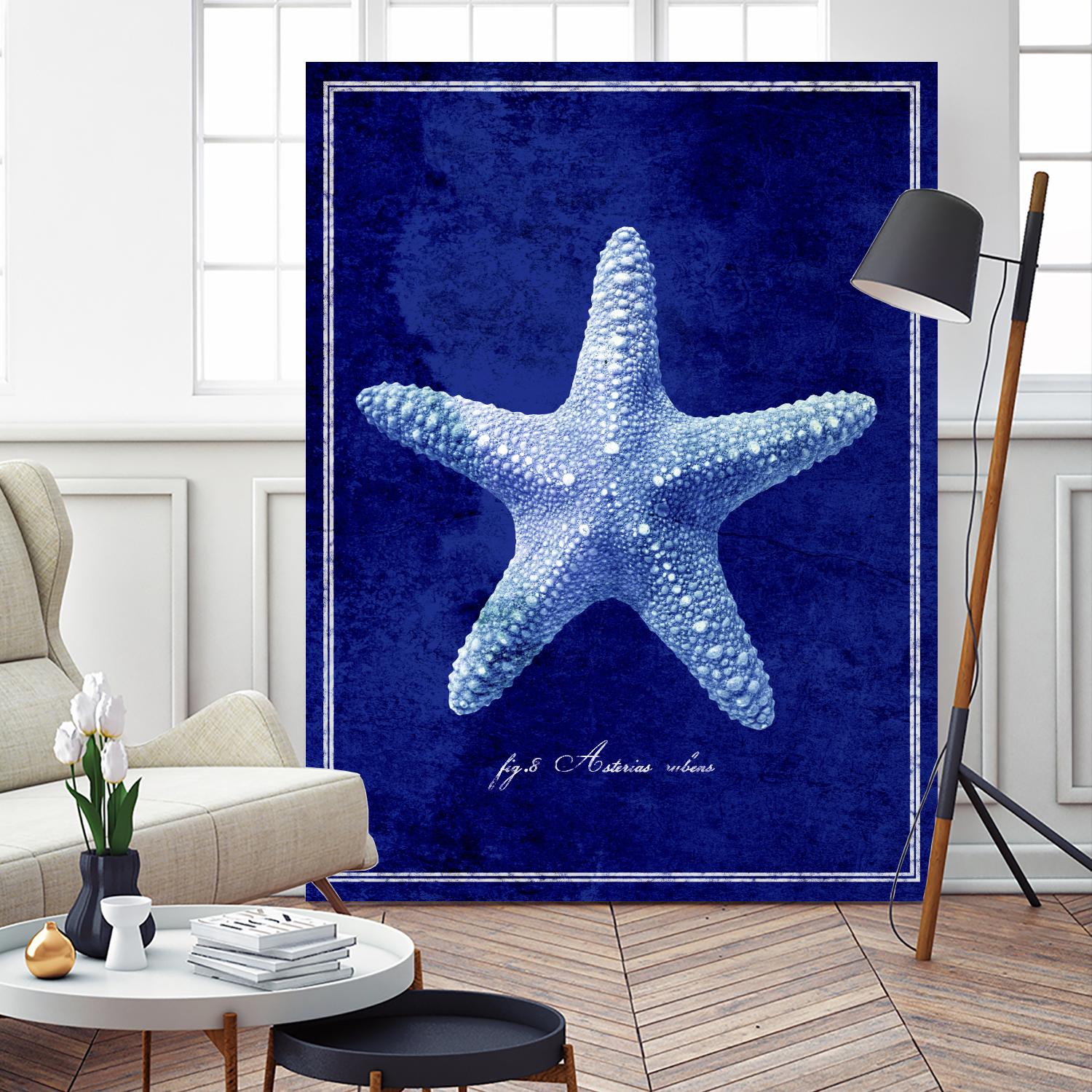 Starfish by GI ArtLab on GIANT ART - blue nautical
