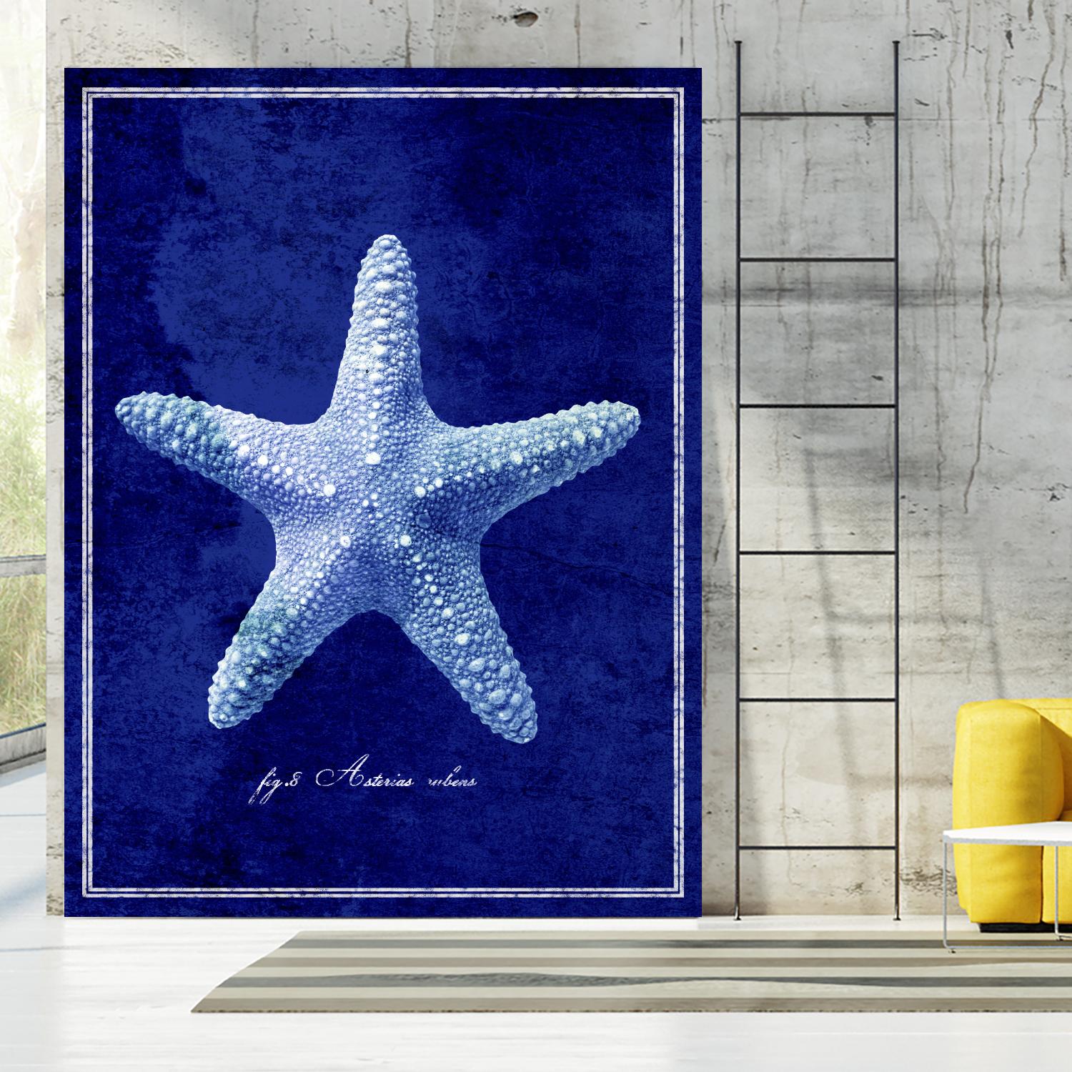 Starfish by GI ArtLab on GIANT ART - blue nautical