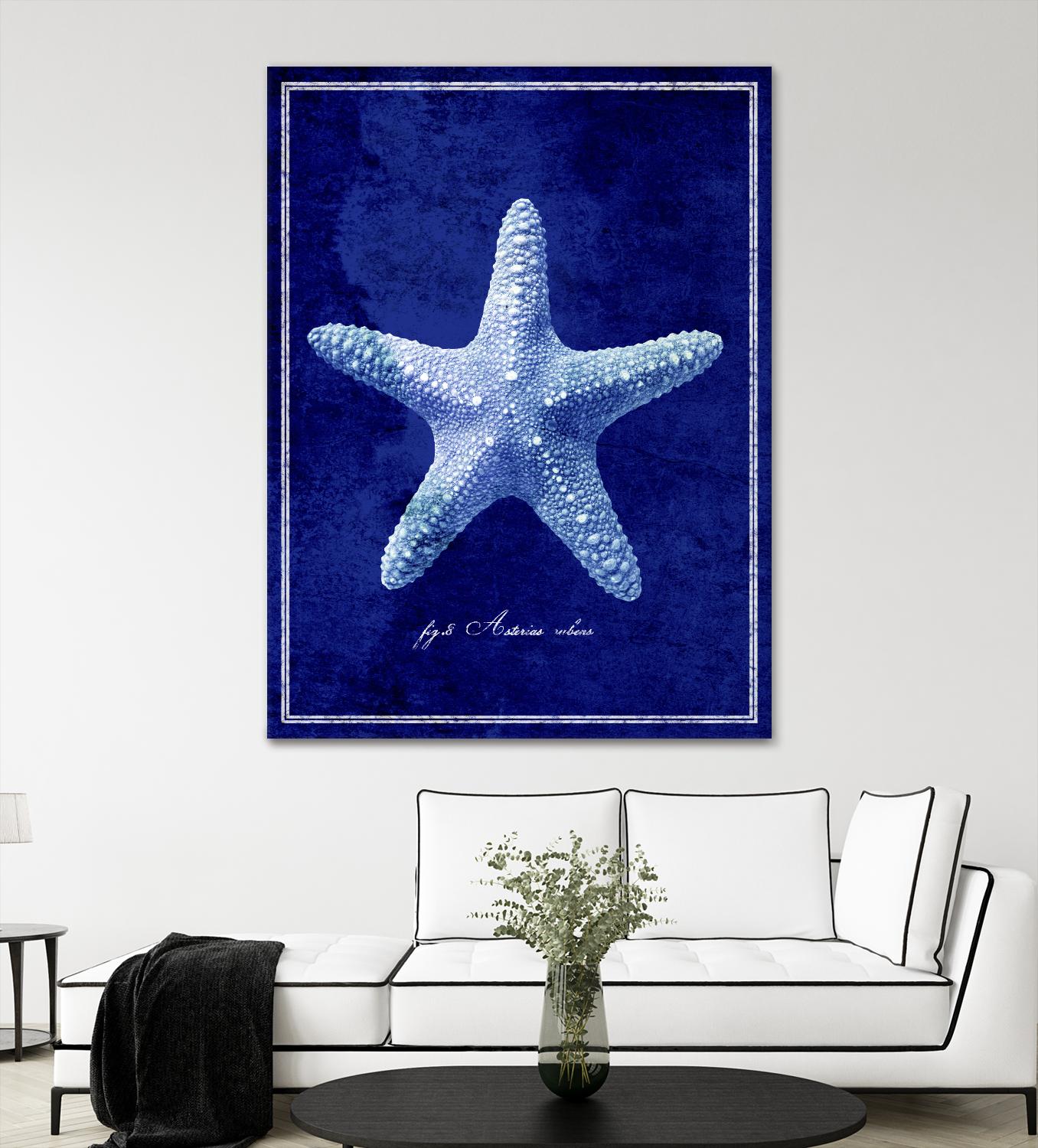 Starfish by GI ArtLab on GIANT ART - blue nautical