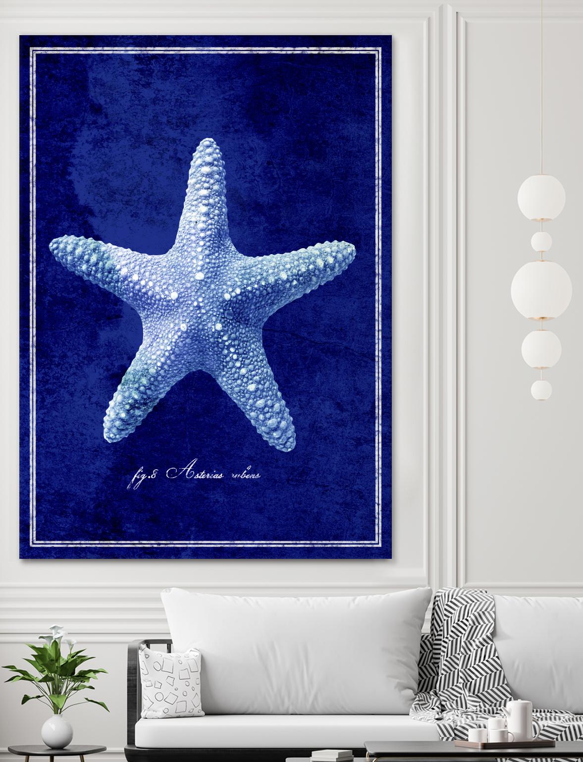 Starfish by GI ArtLab on GIANT ART - blue nautical
