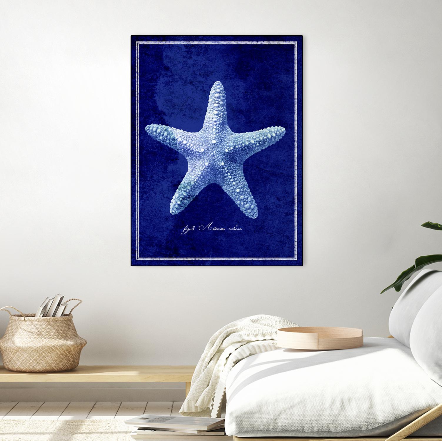 Starfish by GI ArtLab on GIANT ART - blue nautical