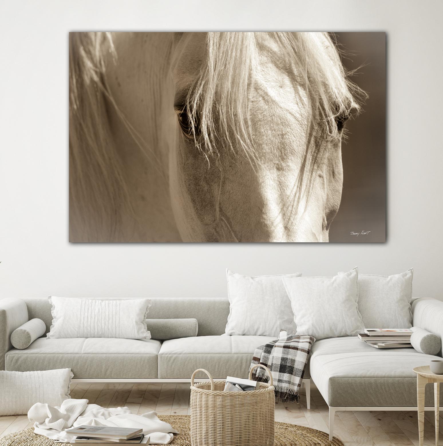 Angel Eyes by Barry Hart on GIANT ART - beige animals