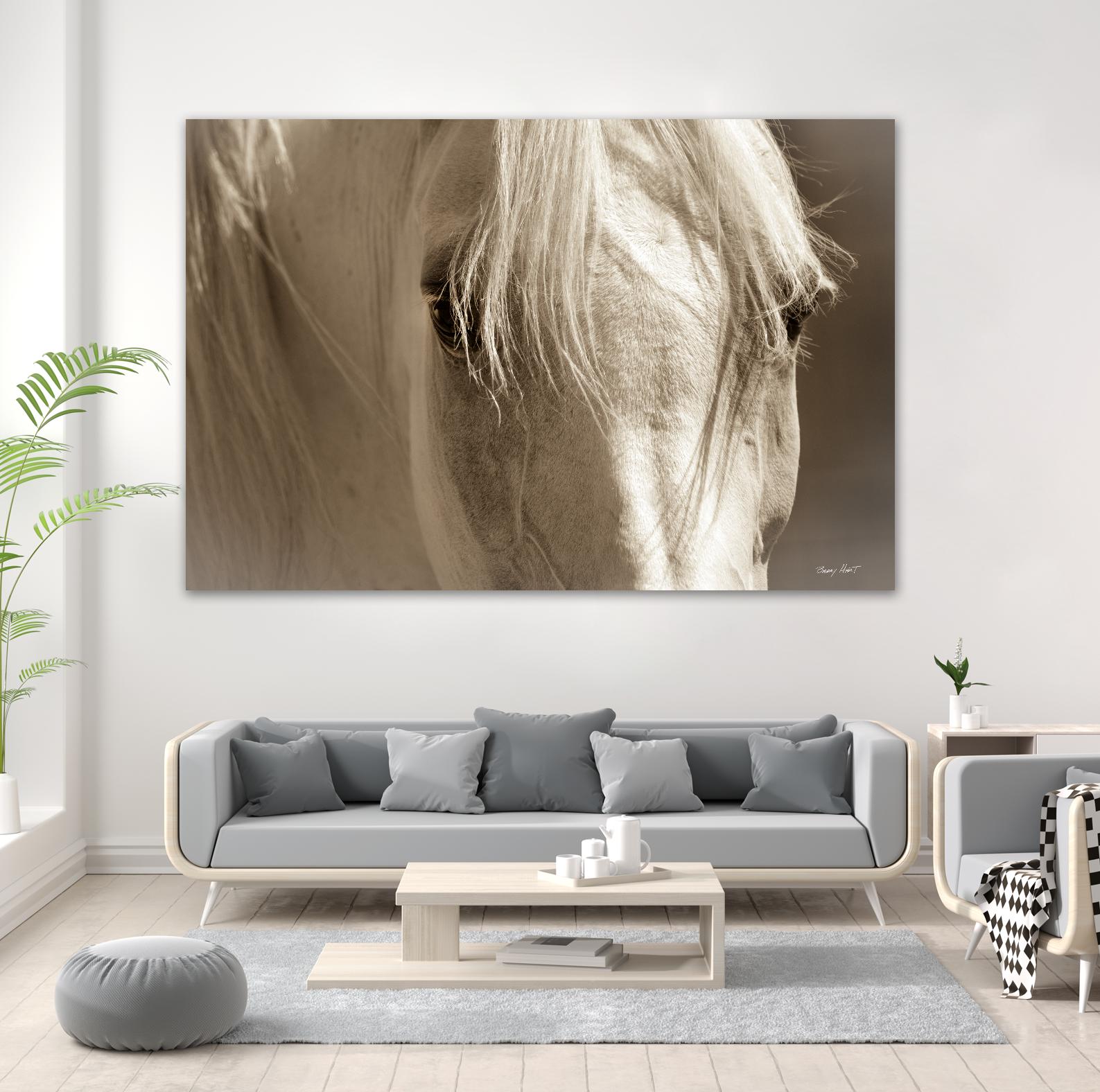 Angel Eyes by Barry Hart on GIANT ART - beige animals