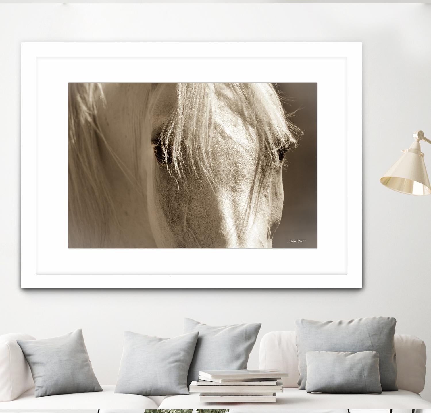 Angel Eyes by Barry Hart on GIANT ART - beige animals