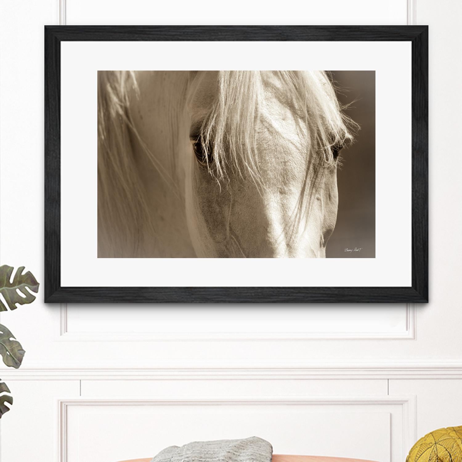 Angel Eyes by Barry Hart on GIANT ART - beige animals