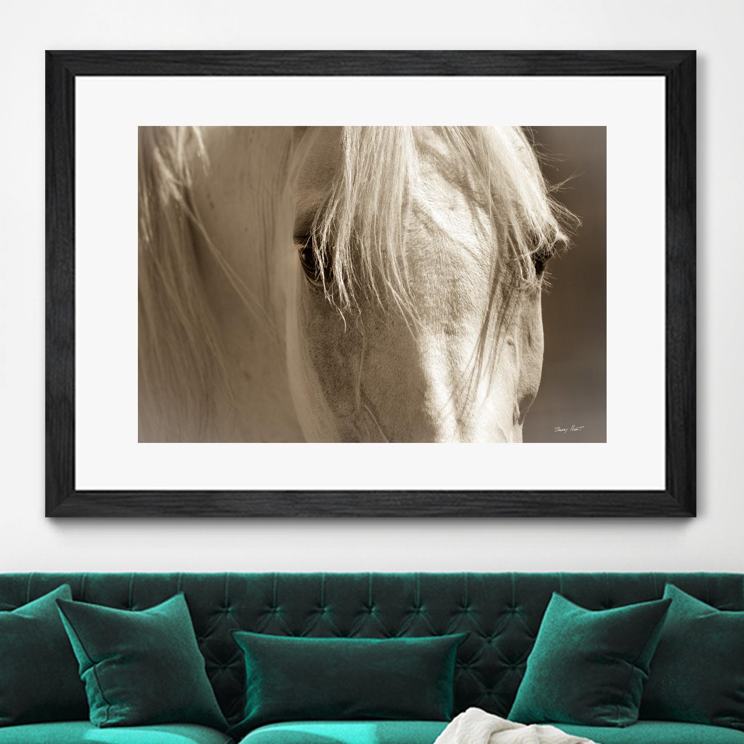 Angel Eyes by Barry Hart on GIANT ART - beige animals