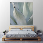 Black Tip Succulent by Karen Ussery on GIANT ART - grey botany