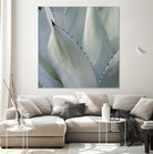 Black Tip Succulent by Karen Ussery on GIANT ART - grey botany