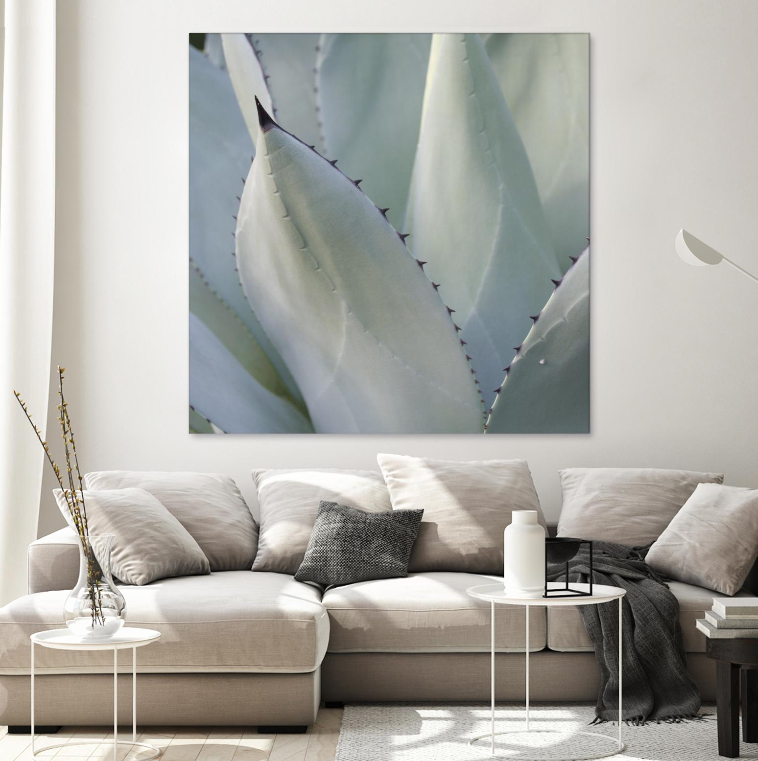 Black Tip Succulent by Karen Ussery on GIANT ART - grey botany