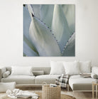 Black Tip Succulent by Karen Ussery on GIANT ART - grey botany