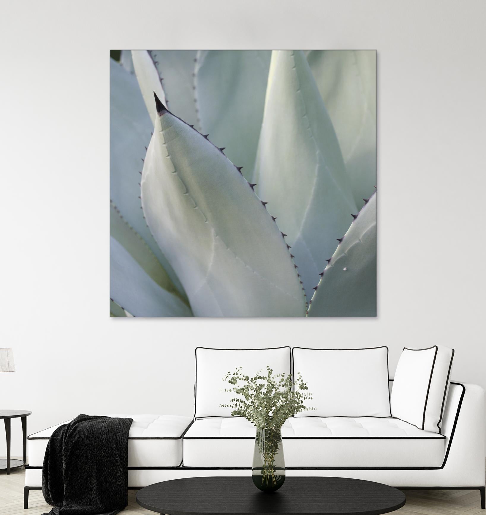 Black Tip Succulent by Karen Ussery on GIANT ART - grey botany