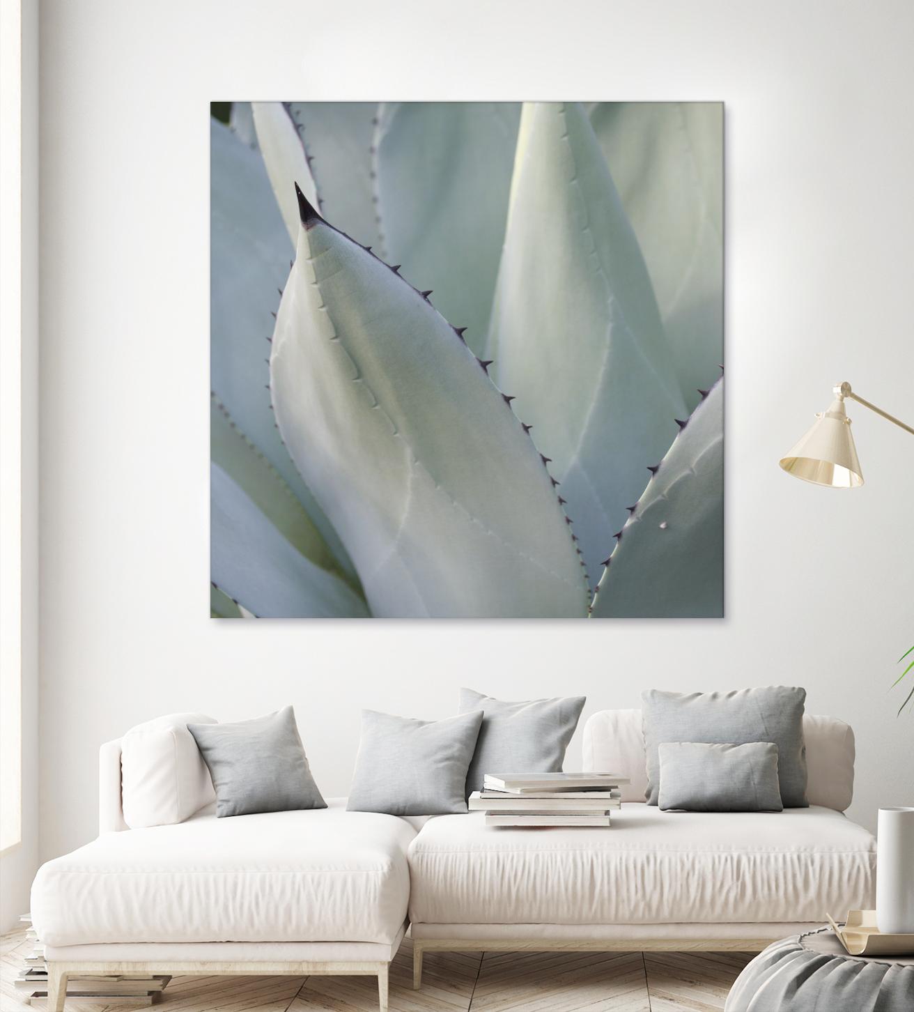 Black Tip Succulent by Karen Ussery on GIANT ART - grey botany
