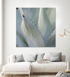 Black Tip Succulent by Karen Ussery on GIANT ART - grey botany