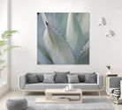 Black Tip Succulent by Karen Ussery on GIANT ART - grey botany