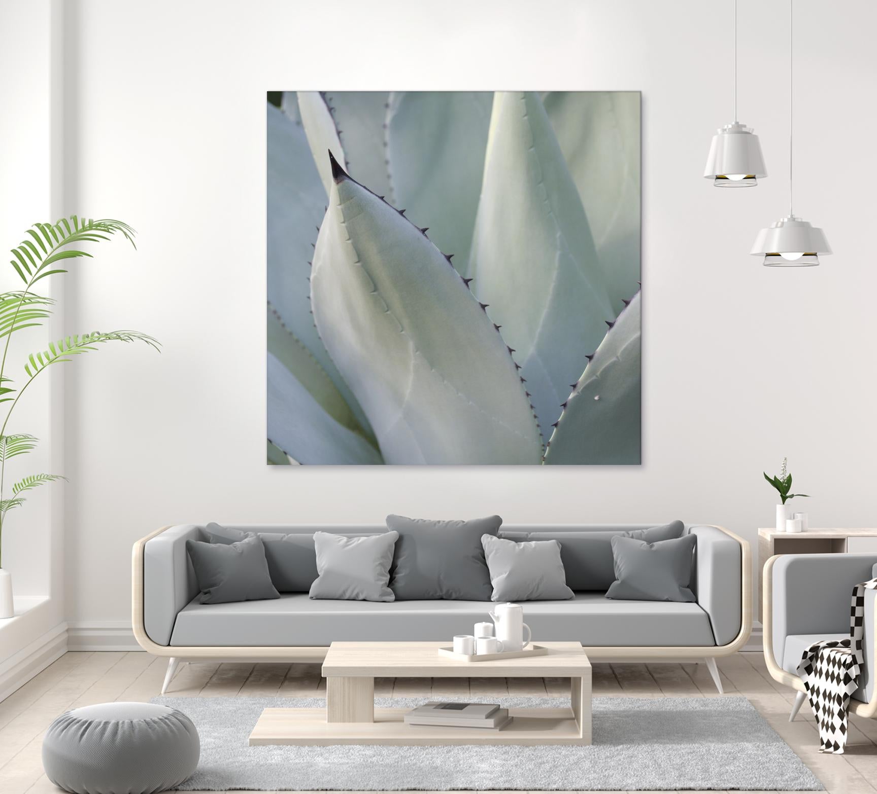 Black Tip Succulent by Karen Ussery on GIANT ART - grey botany