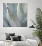Black Tip Succulent by Karen Ussery on GIANT ART - grey botany