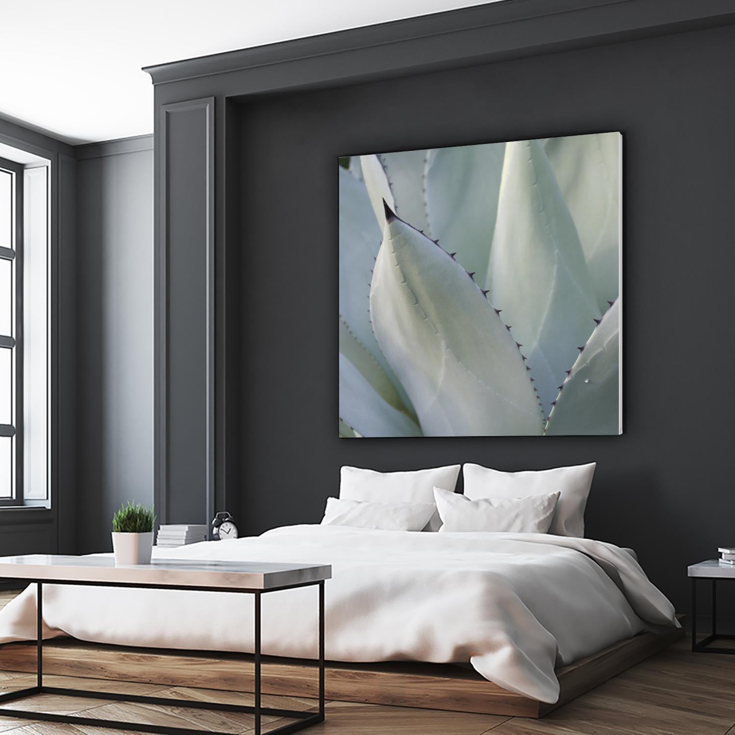 Black Tip Succulent by Karen Ussery on GIANT ART - grey botany