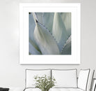Black Tip Succulent by Karen Ussery on GIANT ART - grey botany