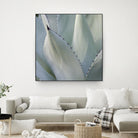 Black Tip Succulent by Karen Ussery on GIANT ART - grey botany