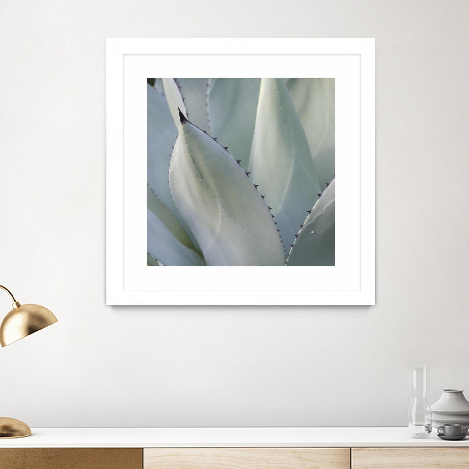 Black Tip Succulent by Karen Ussery on GIANT ART - grey botany