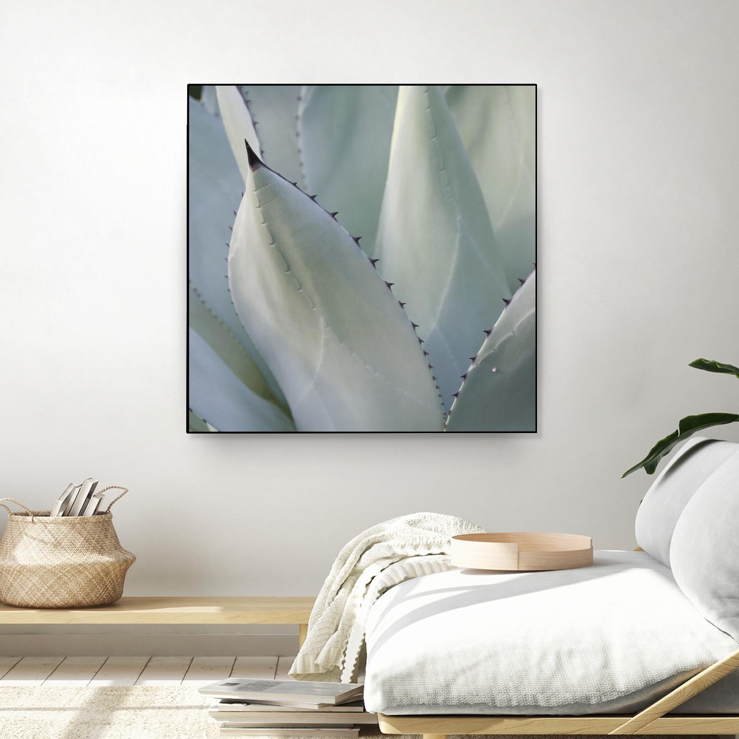 Black Tip Succulent by Karen Ussery on GIANT ART - grey botany