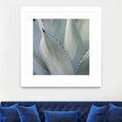 Black Tip Succulent by Karen Ussery on GIANT ART - grey botany