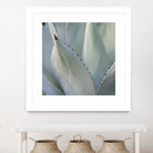 Black Tip Succulent by Karen Ussery on GIANT ART - grey botany