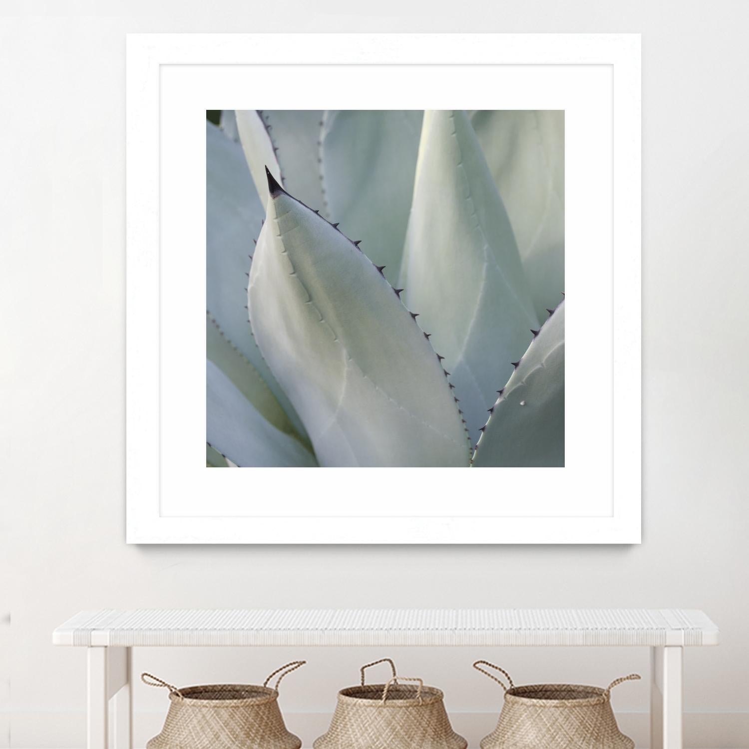Black Tip Succulent by Karen Ussery on GIANT ART - grey botany