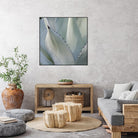 Black Tip Succulent by Karen Ussery on GIANT ART - grey botany