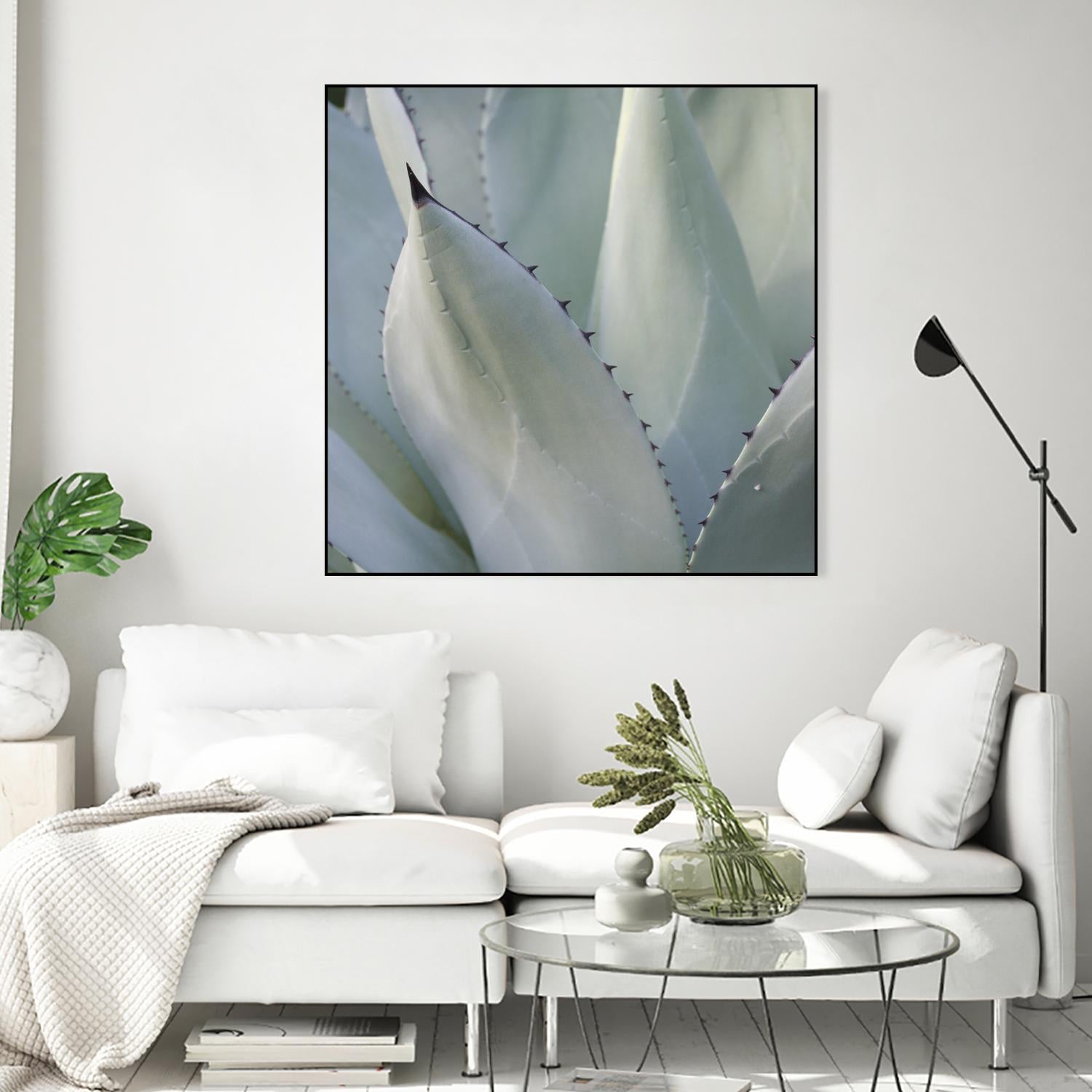 Black Tip Succulent by Karen Ussery on GIANT ART - grey botany
