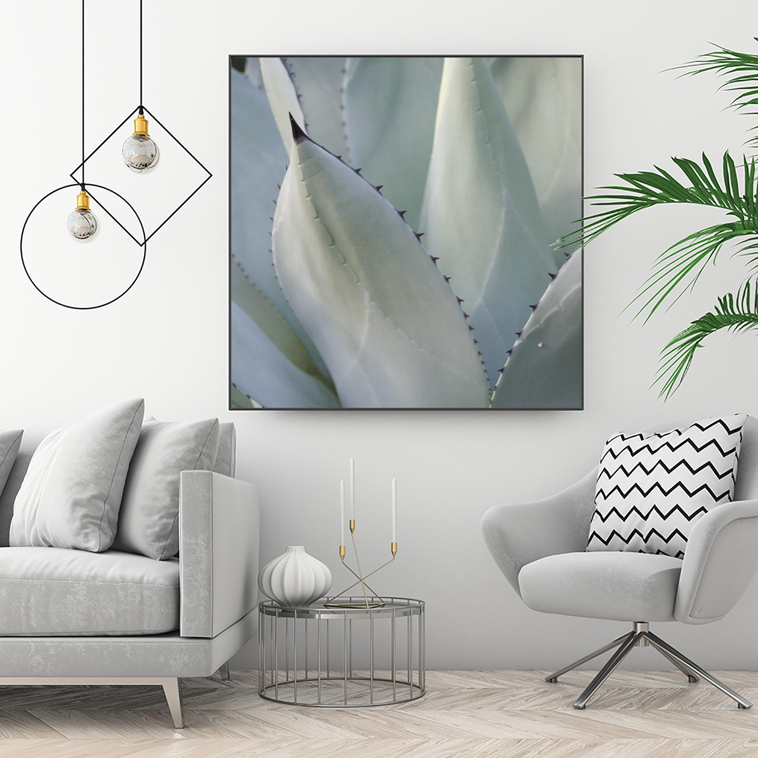 Black Tip Succulent by Karen Ussery on GIANT ART - grey botany