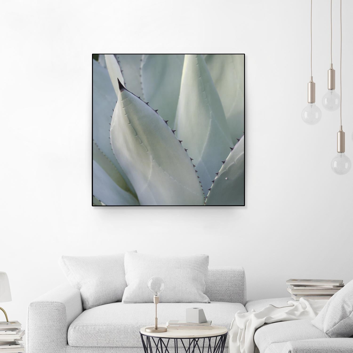 Black Tip Succulent by Karen Ussery on GIANT ART - grey botany