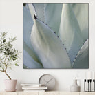 Black Tip Succulent by Karen Ussery on GIANT ART - grey botany