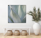 Black Tip Succulent by Karen Ussery on GIANT ART - grey botany