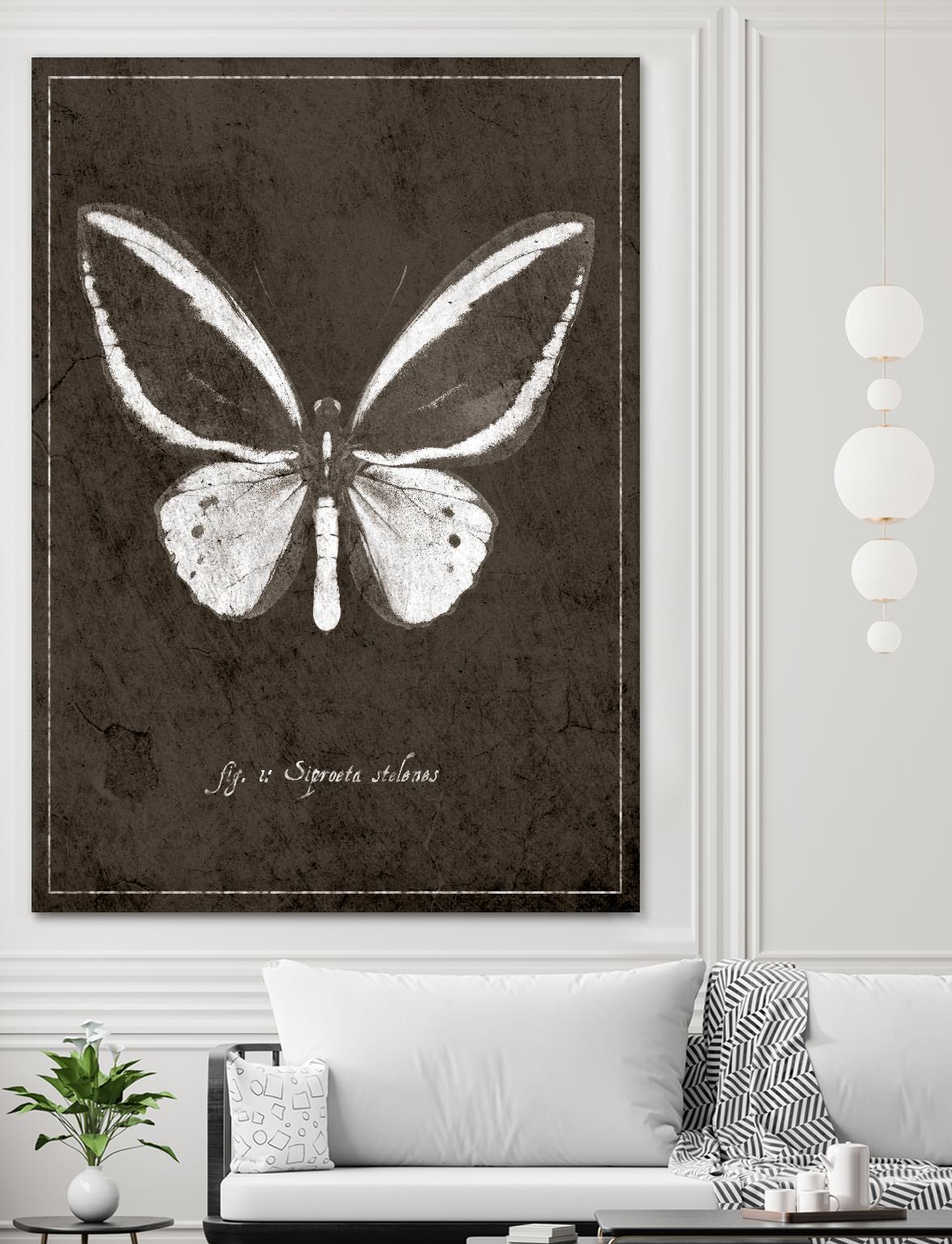 Butterfly I by GI ArtLab on GIANT ART - white botany