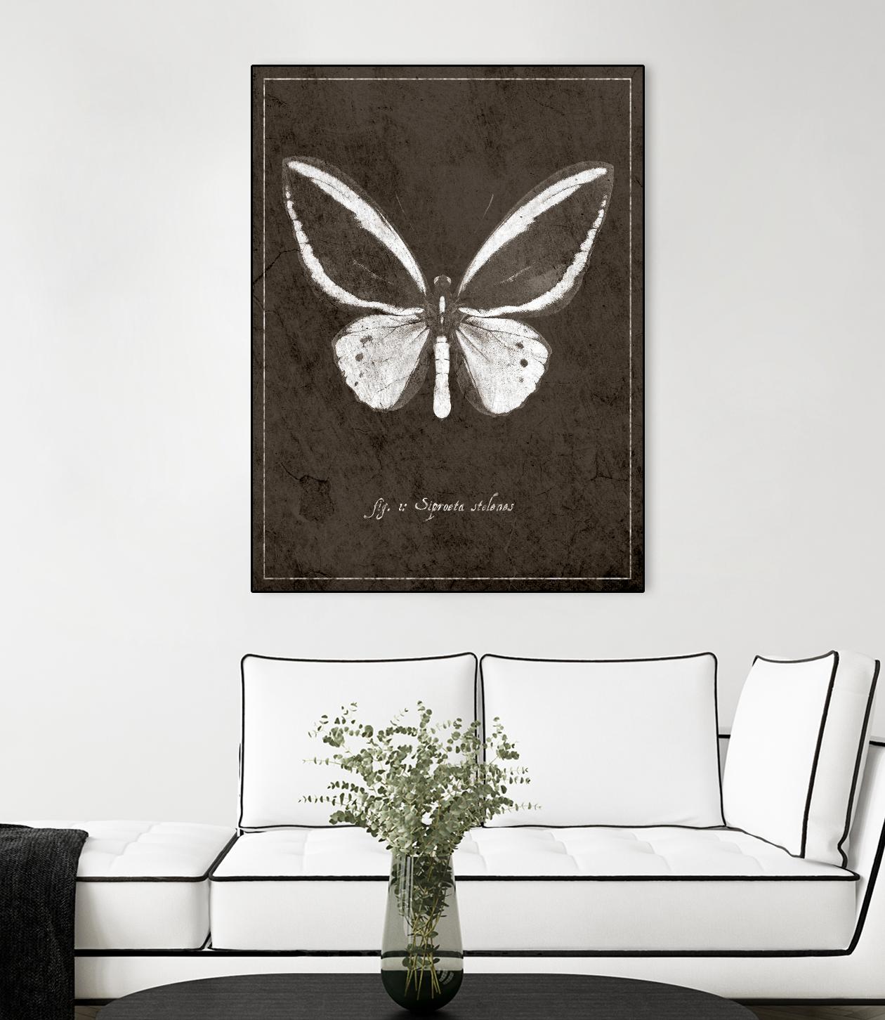 Butterfly I by GI ArtLab on GIANT ART - white botany