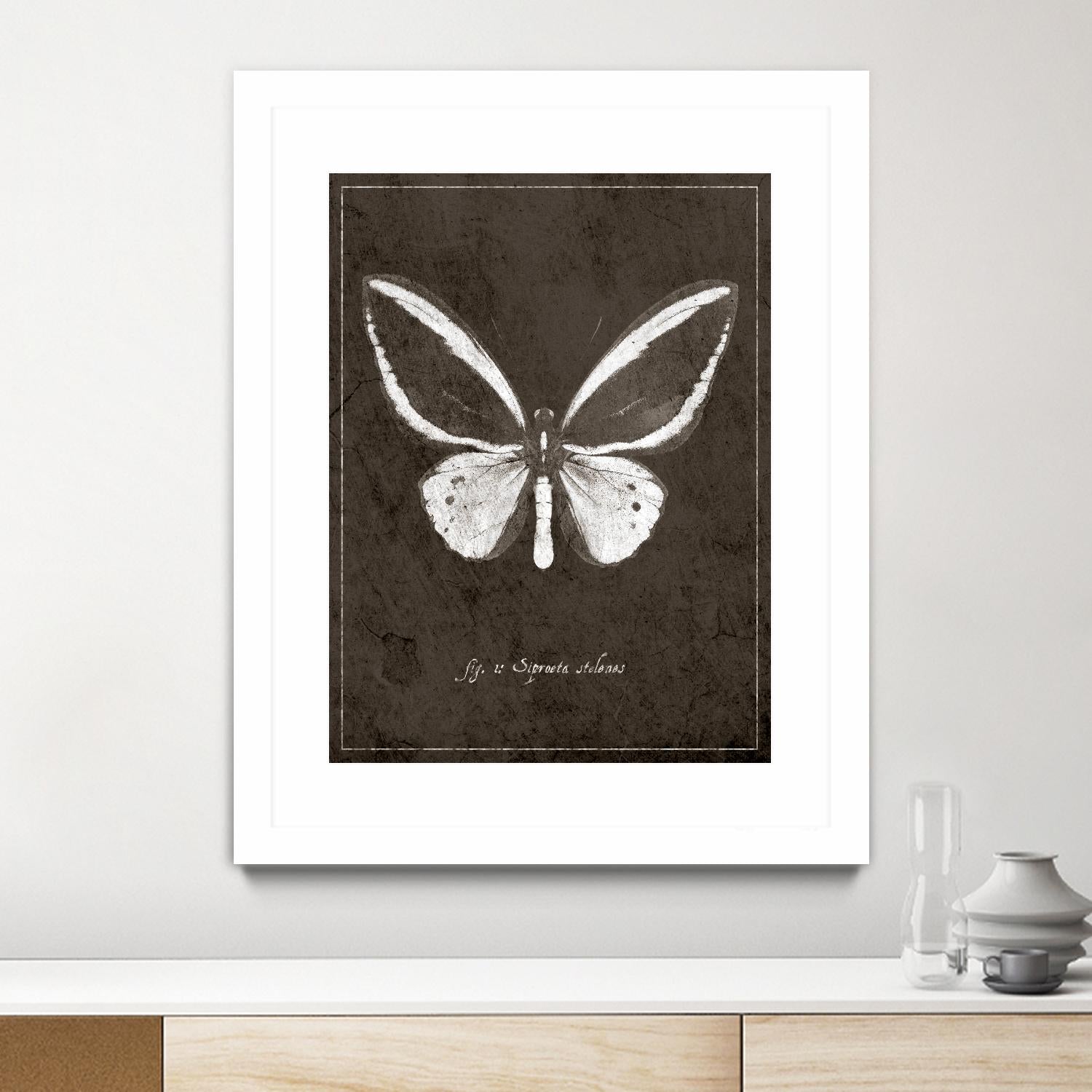Butterfly I by GI ArtLab on GIANT ART - white botany