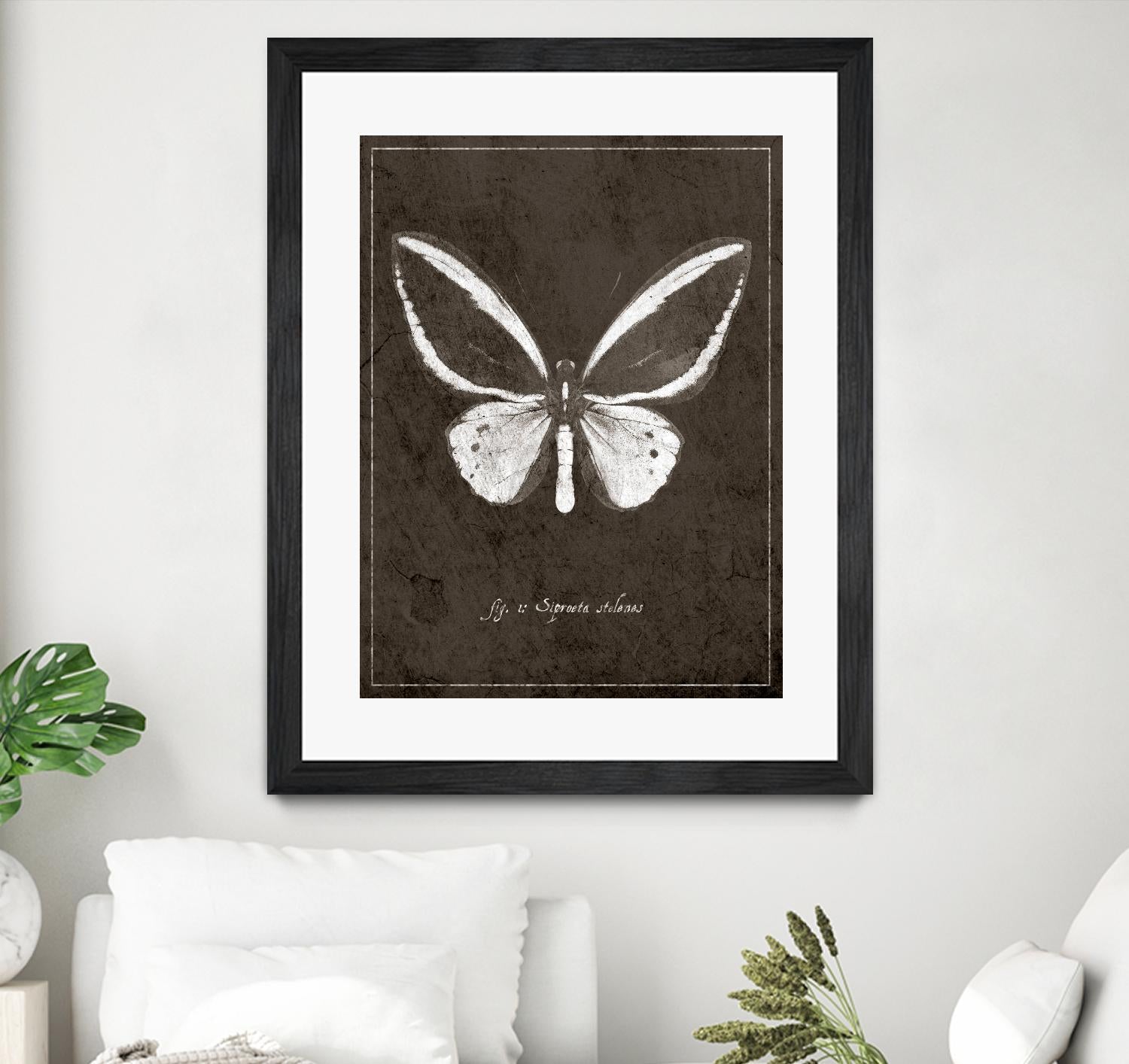 Butterfly I by GI ArtLab on GIANT ART - white botany