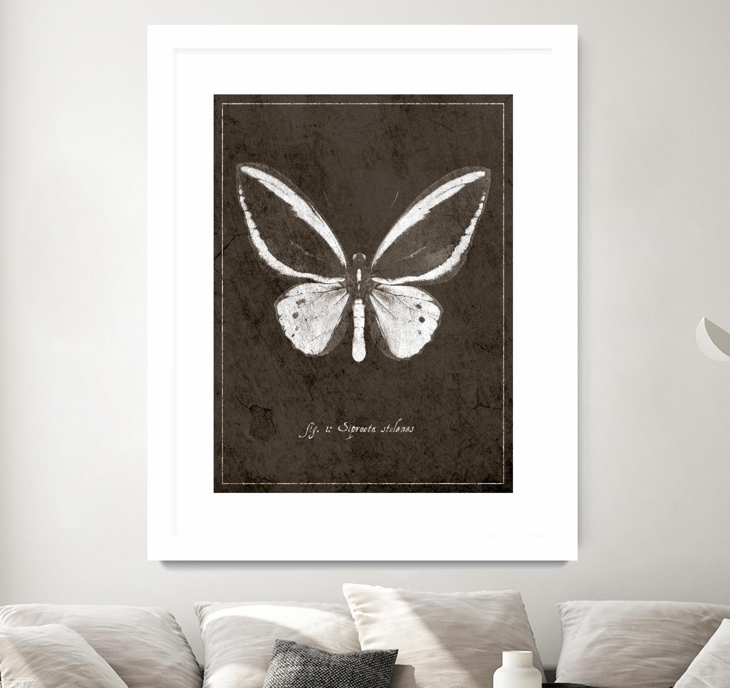 Butterfly I by GI ArtLab on GIANT ART - white botany