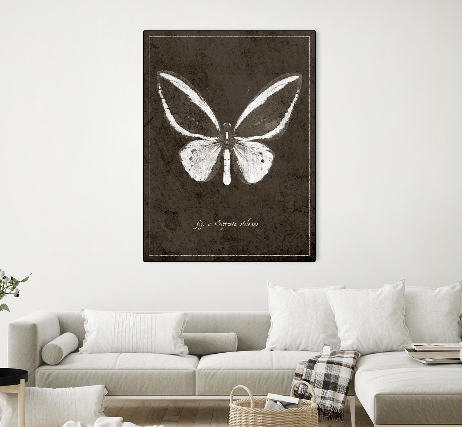 Butterfly I by GI ArtLab on GIANT ART - white botany