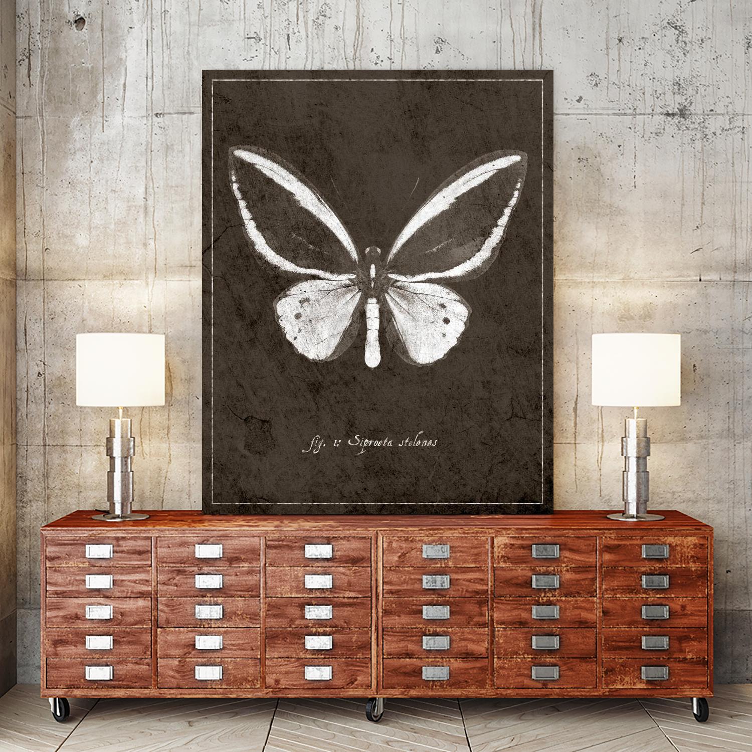 Butterfly I by GI ArtLab on GIANT ART - white botany
