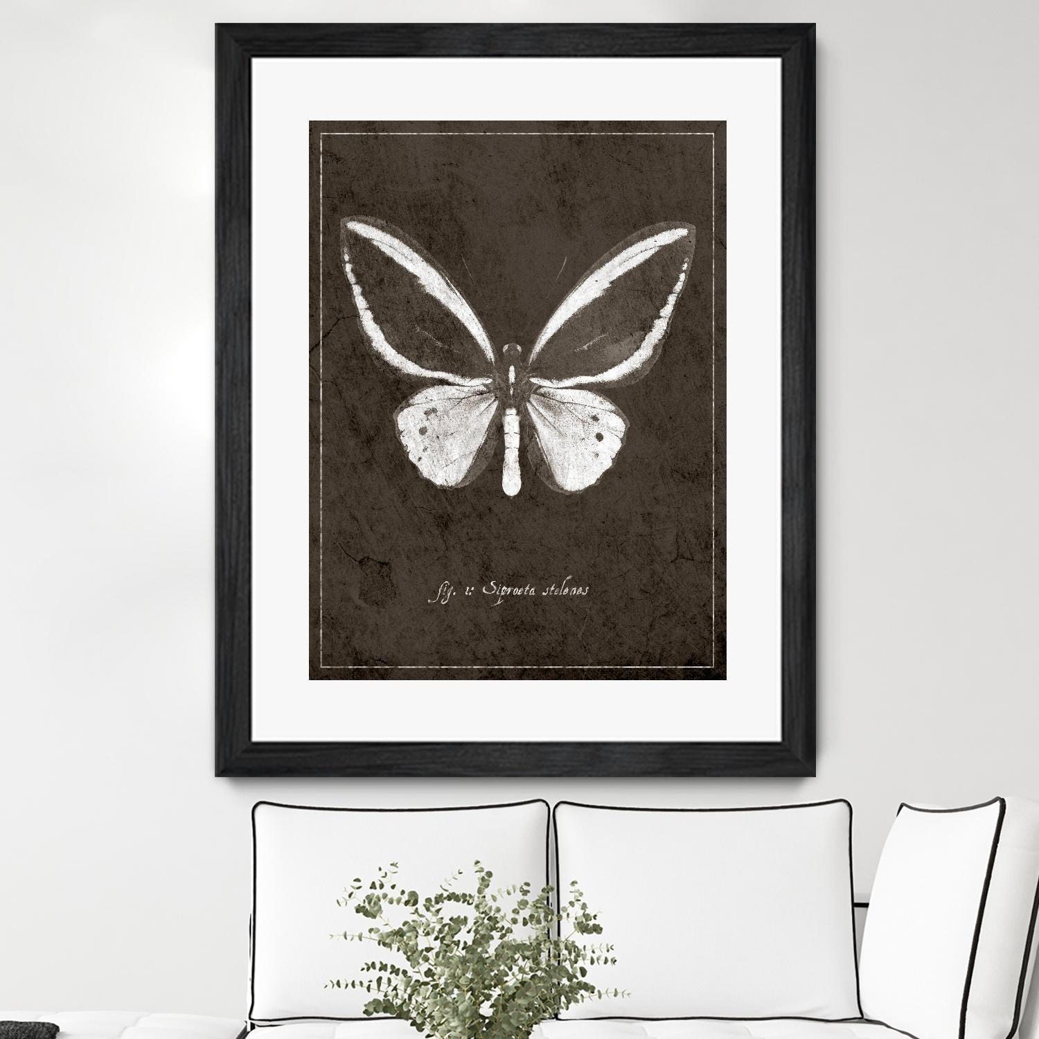 Butterfly I by GI ArtLab on GIANT ART - white botany