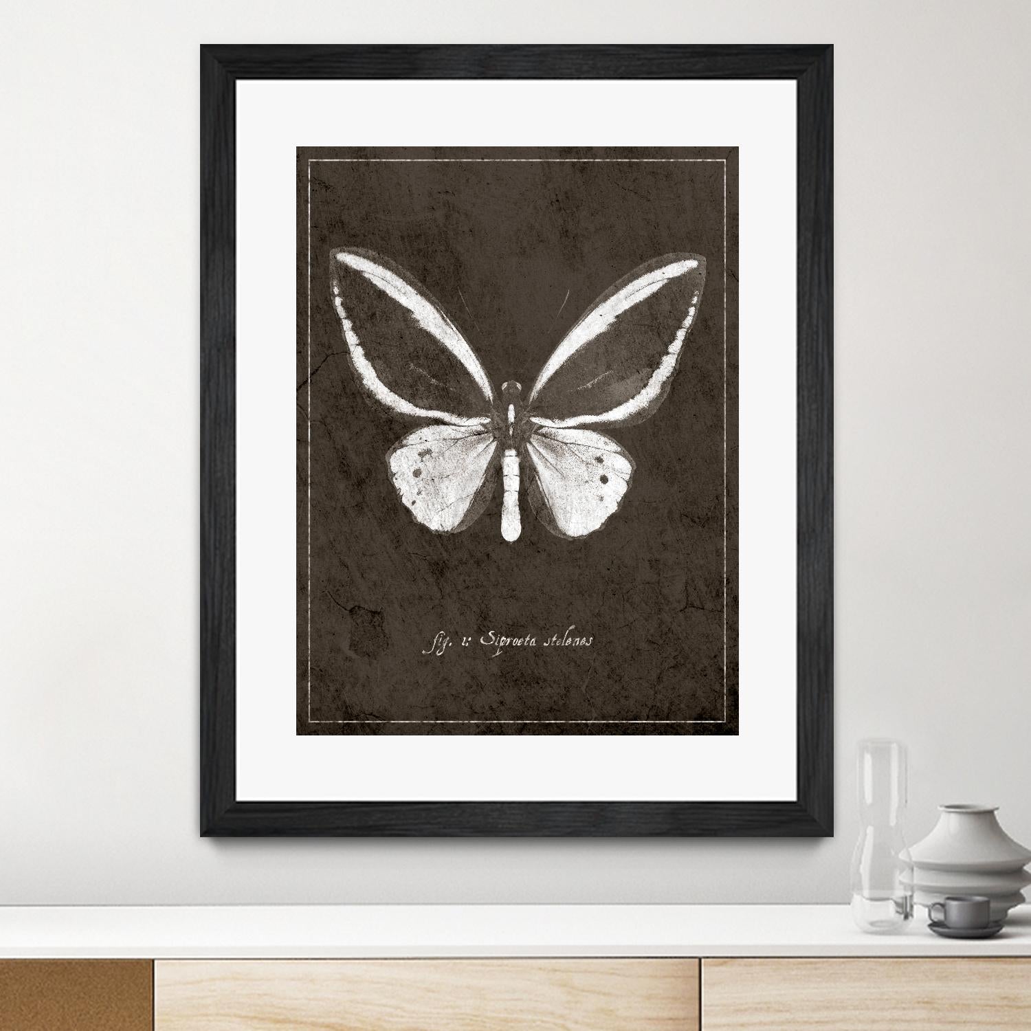 Butterfly I by GI ArtLab on GIANT ART - white botany