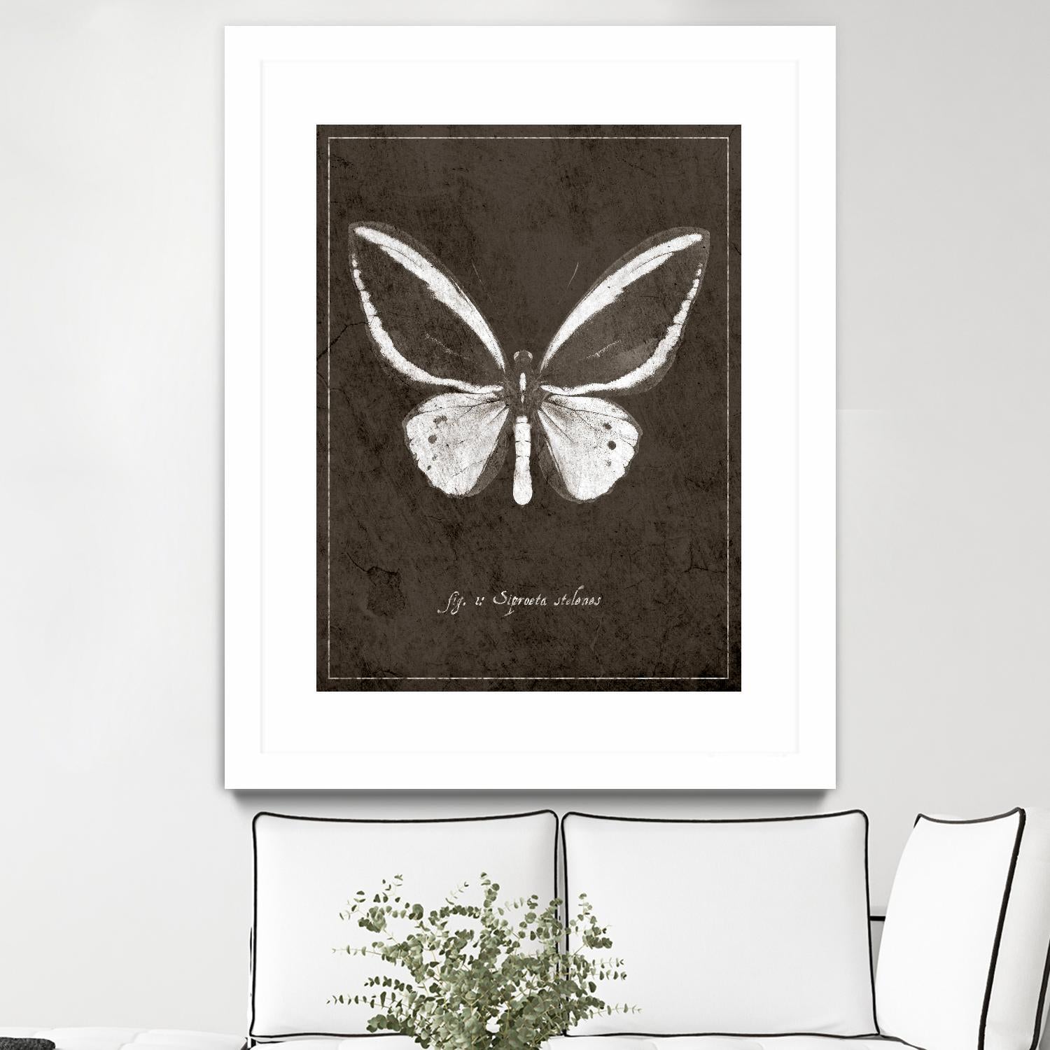Butterfly I by GI ArtLab on GIANT ART - white botany