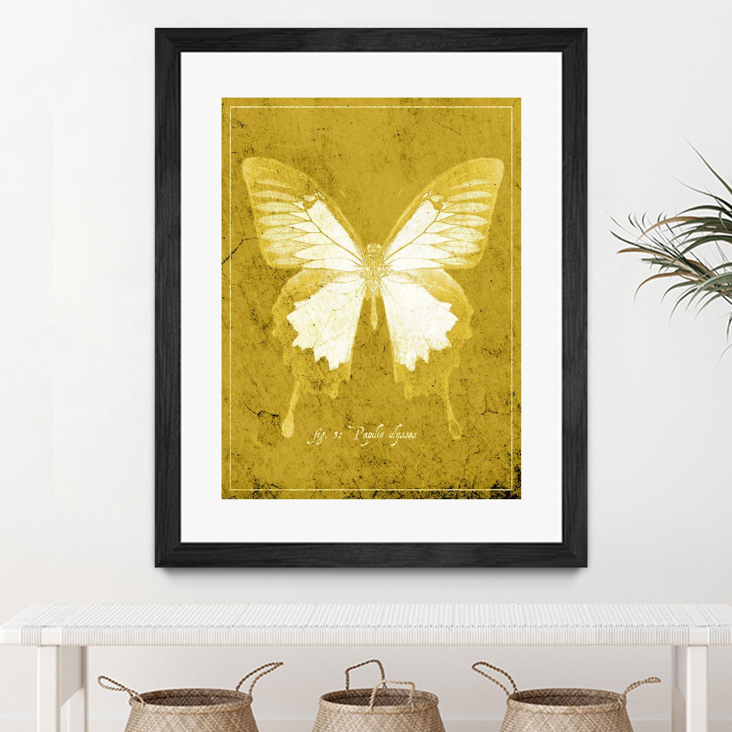 Butterfly L by GI ArtLab on GIANT ART - pink animals