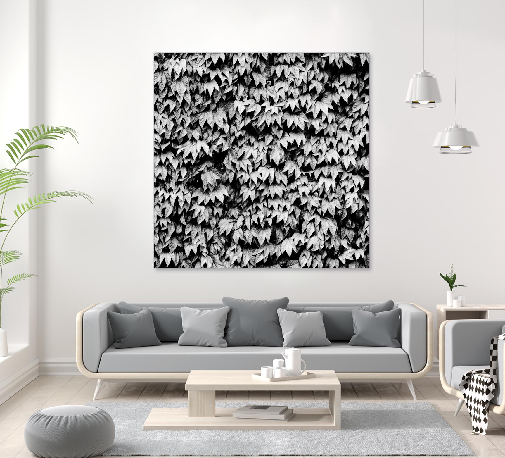 Wall of Leaves by Kyle Goldie on GIANT ART - white photo art