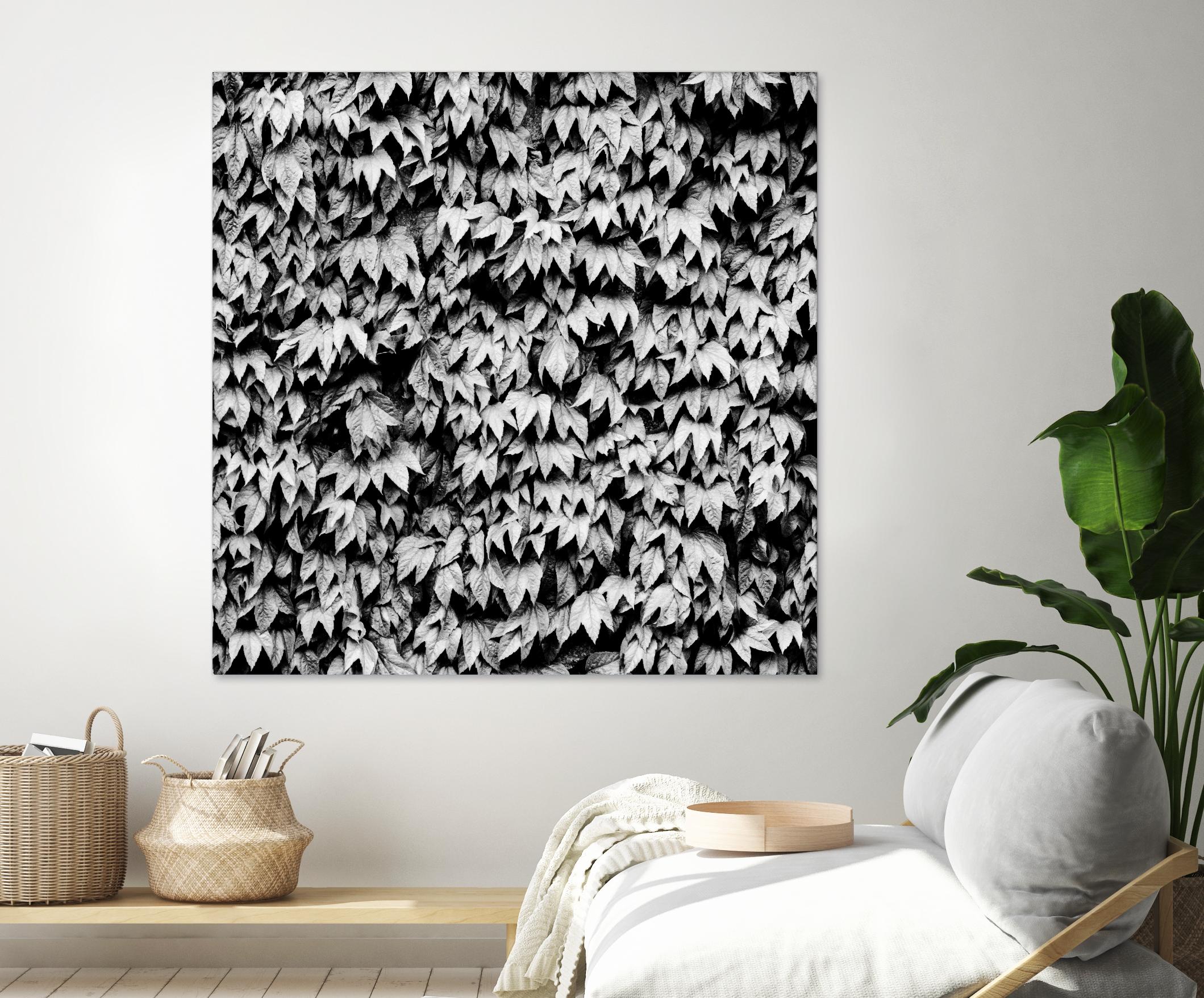 Wall of Leaves by Kyle Goldie on GIANT ART - white photo art