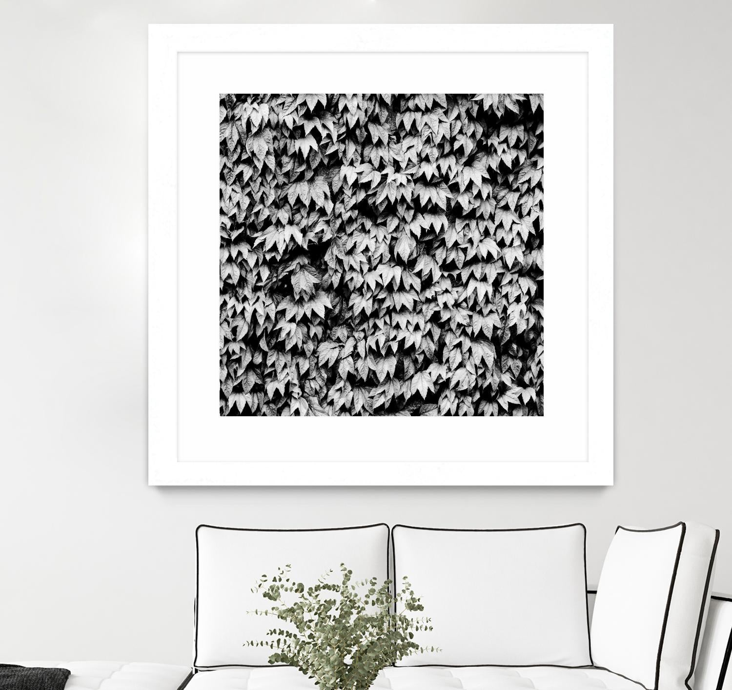 Wall of Leaves by Kyle Goldie on GIANT ART - white photo art